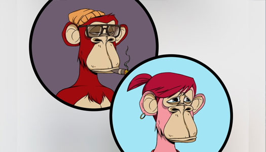 Lonely Ape Dating Club